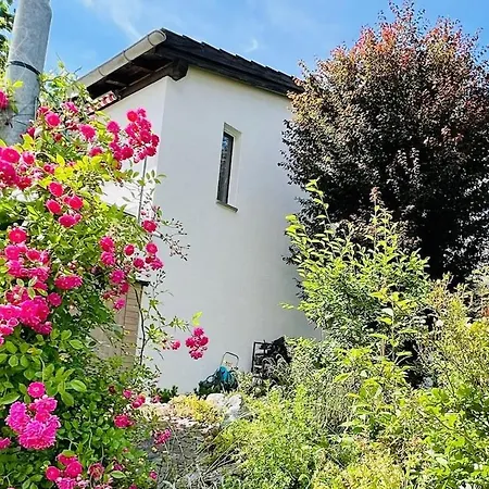 Blick Lischana- Ein Traum Mit Bergpanorama, Sauna, Hottub Apartment Scuol